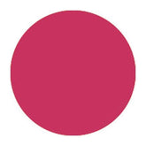 Showtec Colour Sheet Par Can Gel Diffuser Filter (Bright Pink)